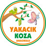 Özel Yakacık Koza Anaokulu