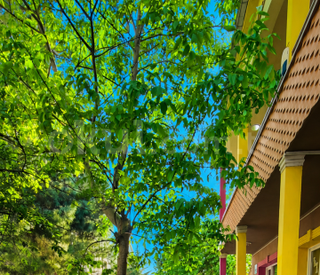 Özel Pendik Keşif Bahçesi Anaokulu