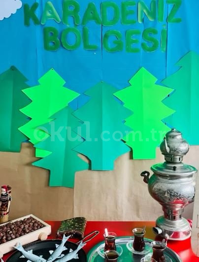 Özel Dragos Minirenk Anaokulu - 25