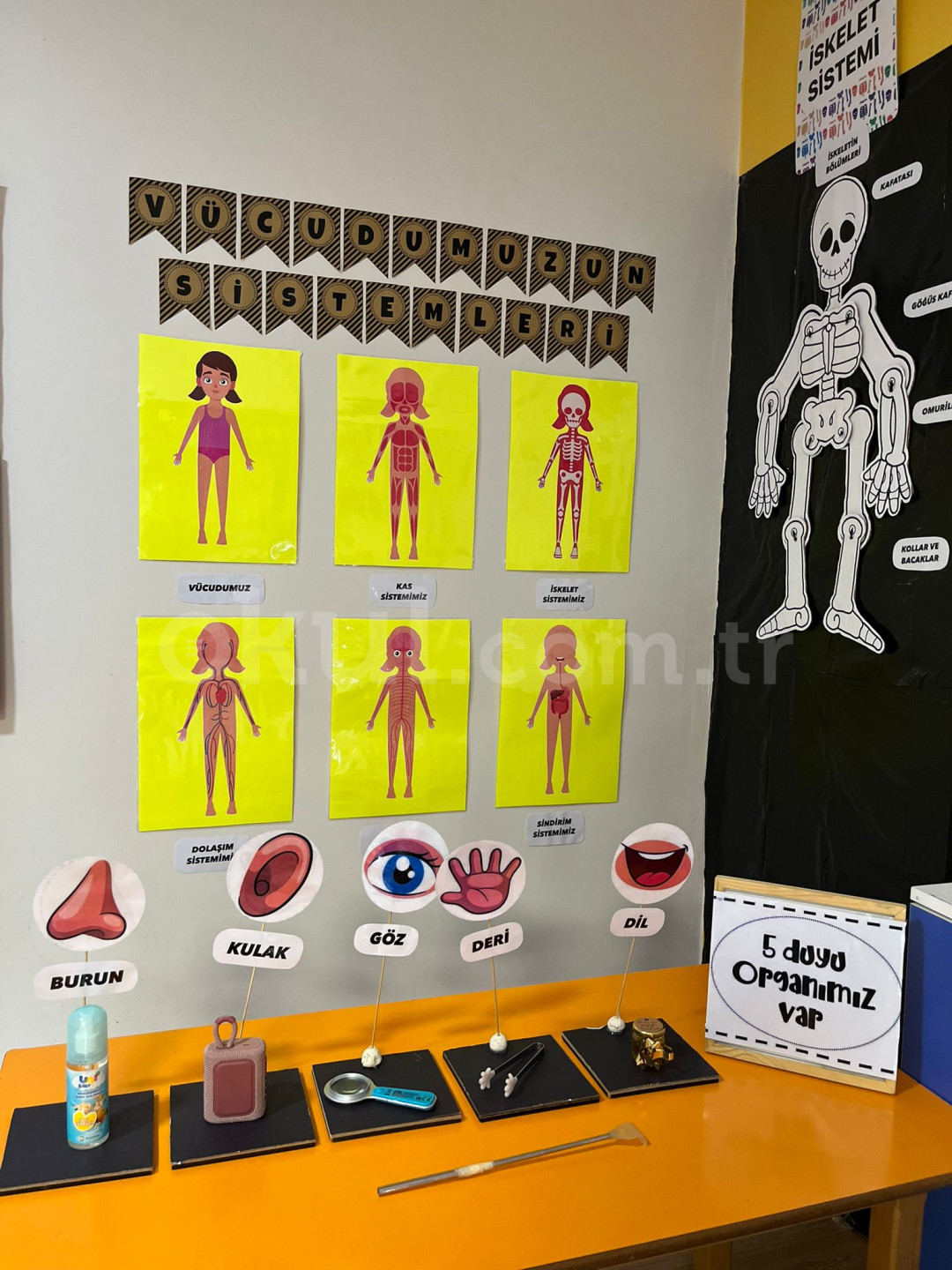 Özel Özde Bilim Anaokulu - 24