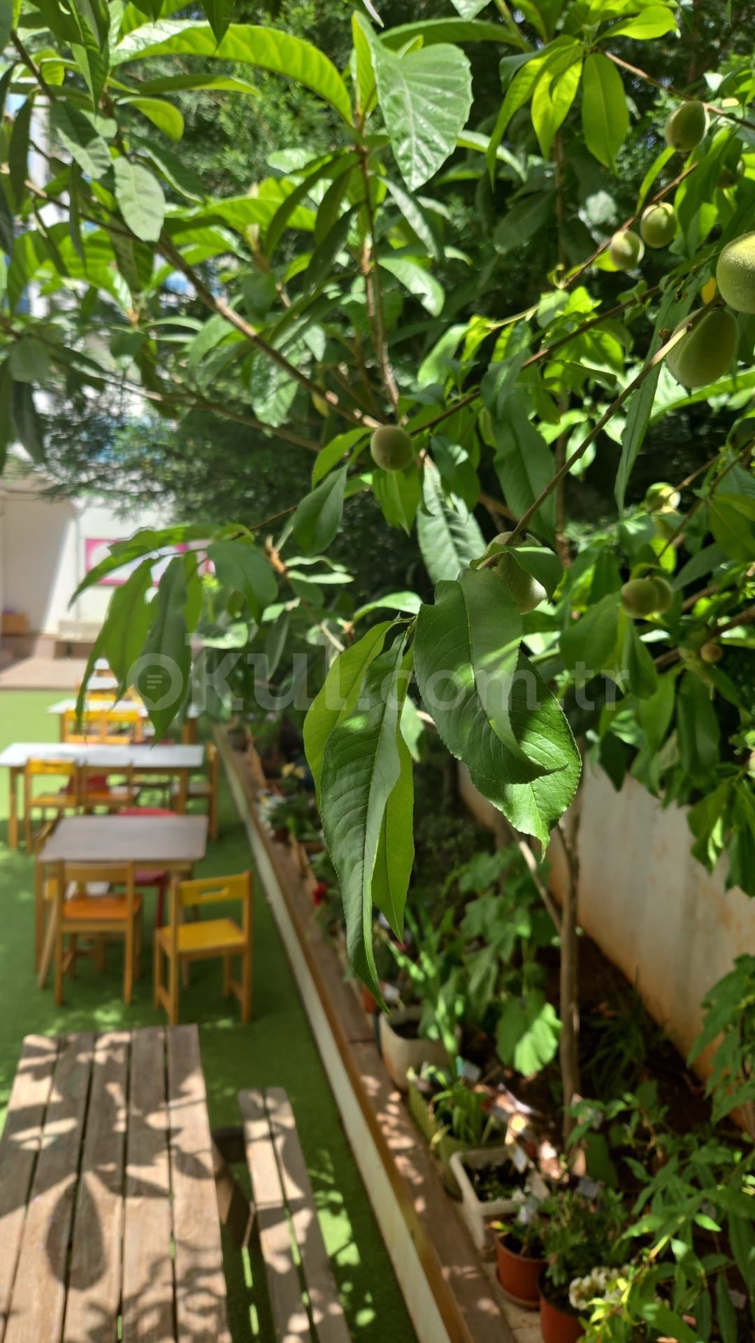 Özel Özde Bilim Anaokulu - 4