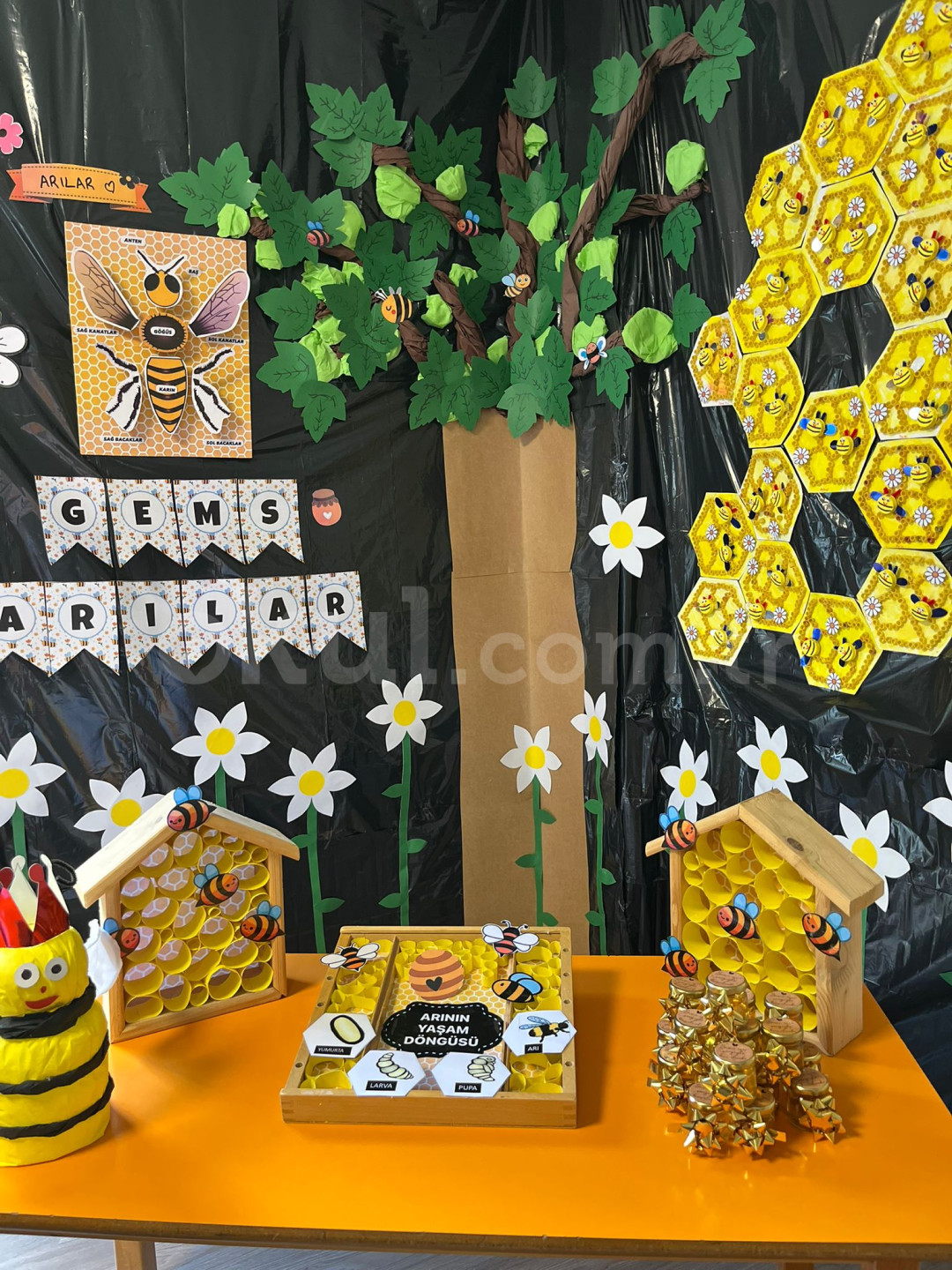 Özel Özde Bilim Anaokulu - 14