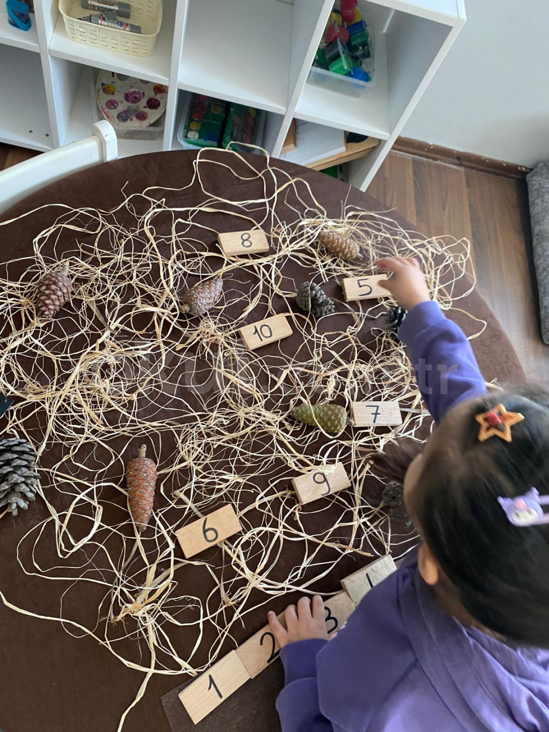 Özel Bilgin Okulları Anaokulu - 15