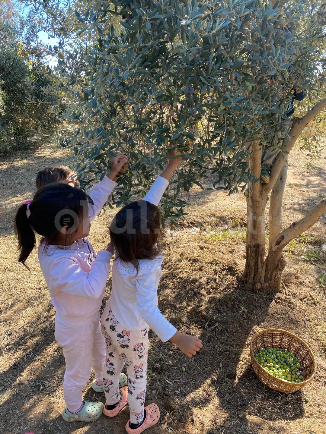 Özel Bilgin Okulları Anaokulu - 21