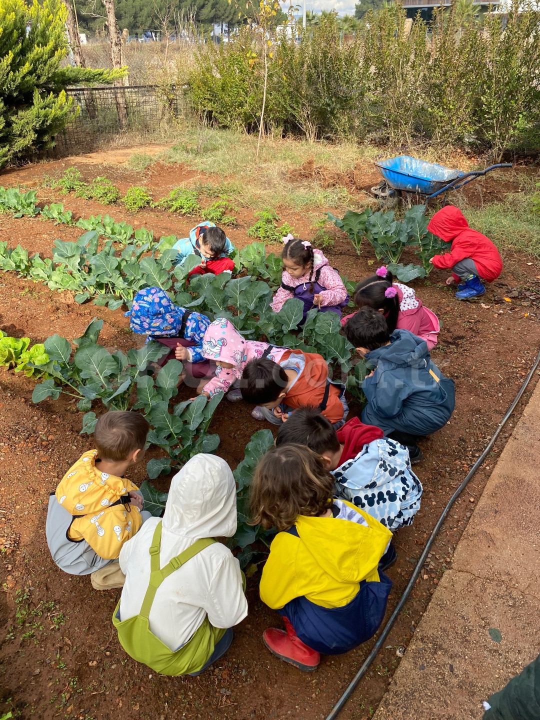 Özel Bilgin Okulları Anaokulu - 19