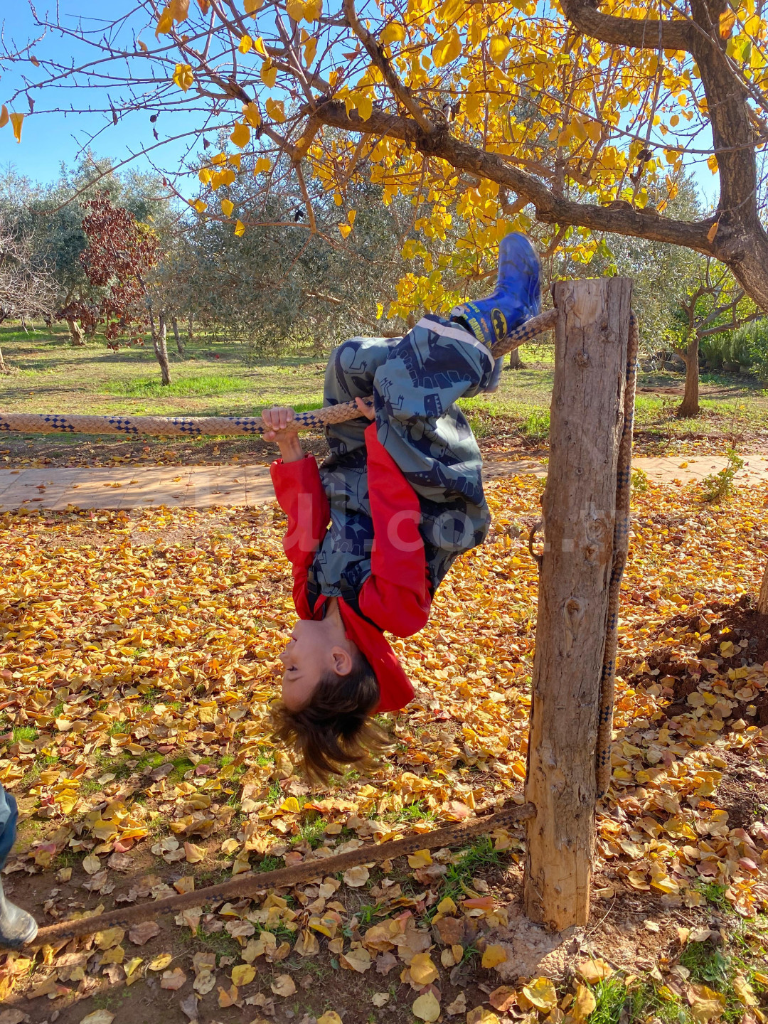 Özel Bilgin Okulları Anaokulu - 5