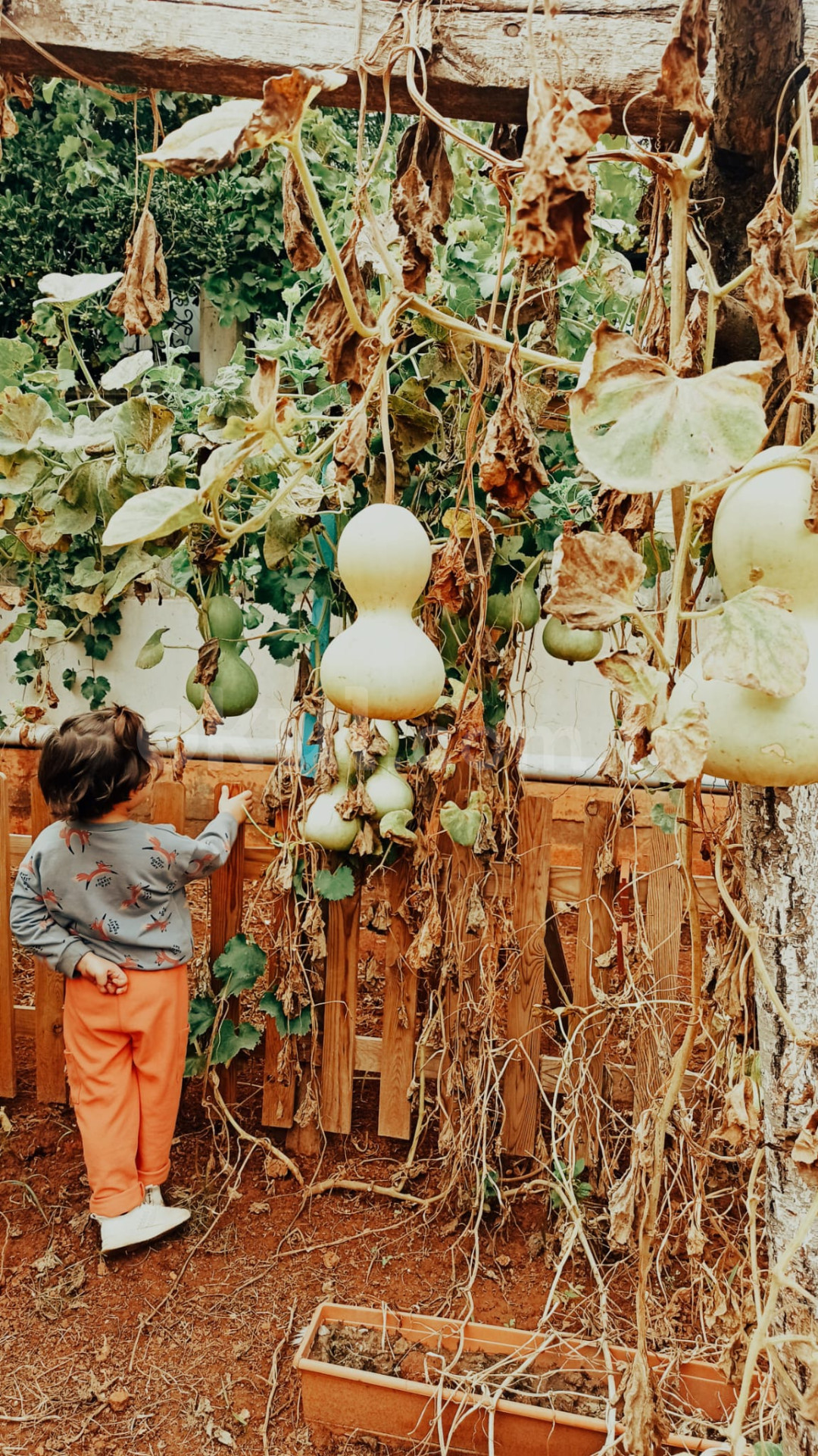 Özel Bilgin Okulları Anaokulu - 23