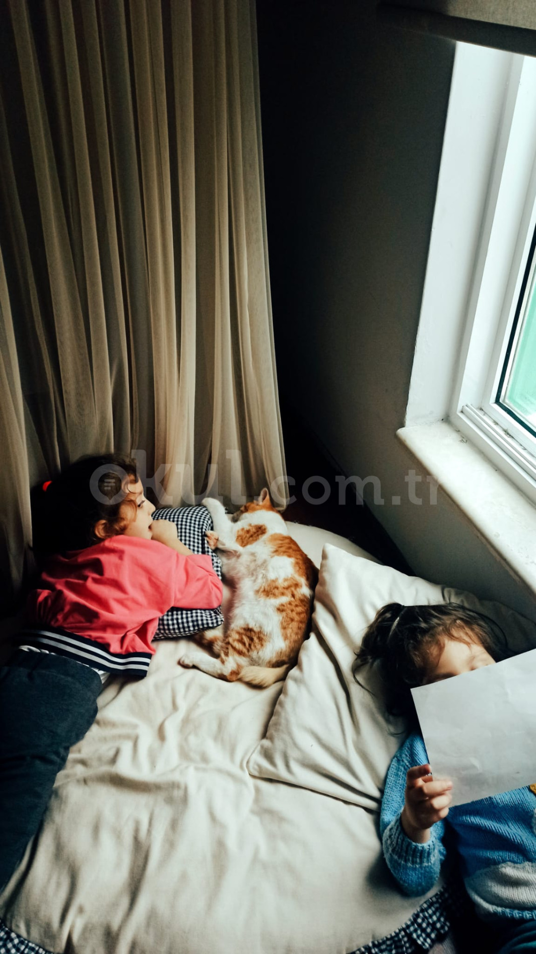 Özel Bilgin Okulları Anaokulu - 20