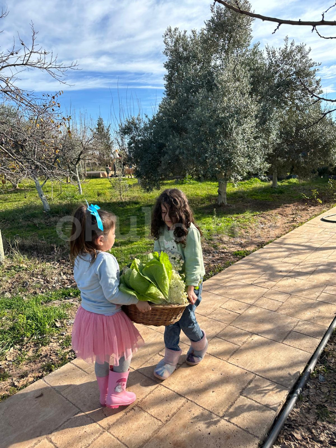 Özel Bilgin Okulları Anaokulu - 24