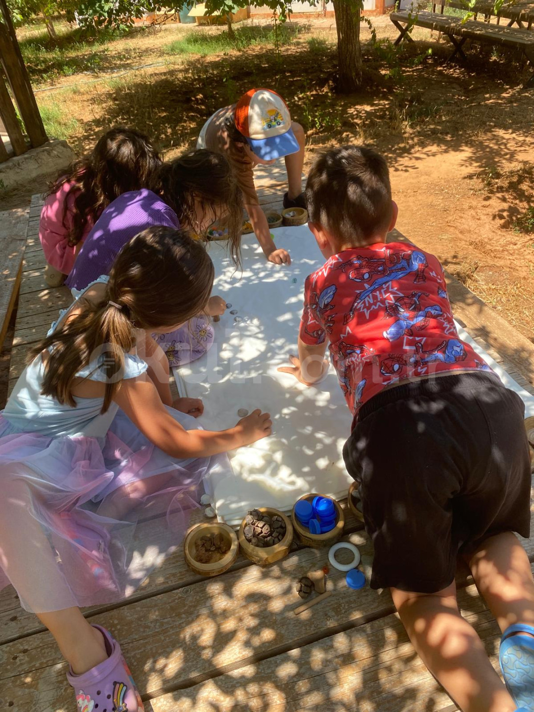 Özel Bilgin Okulları Anaokulu - 13