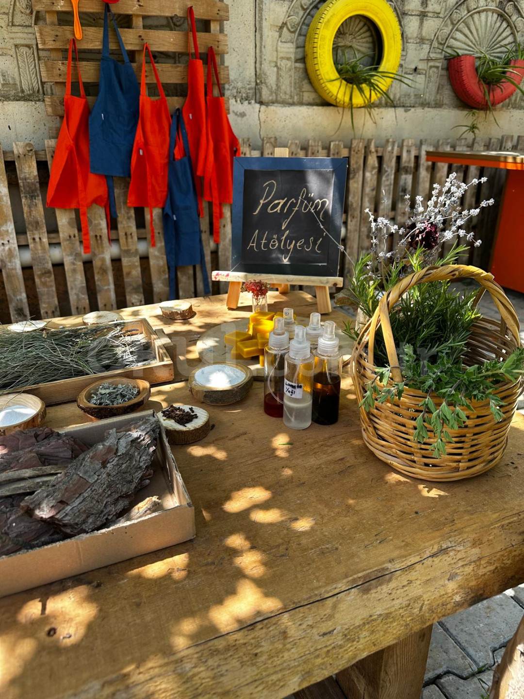 Özel Bilgin Okulları Anaokulu - 12