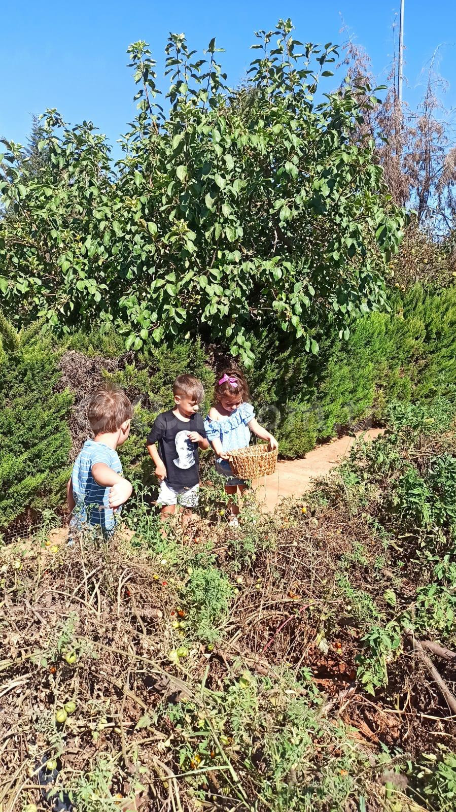 Özel Bilgin Okulları Anaokulu - 14