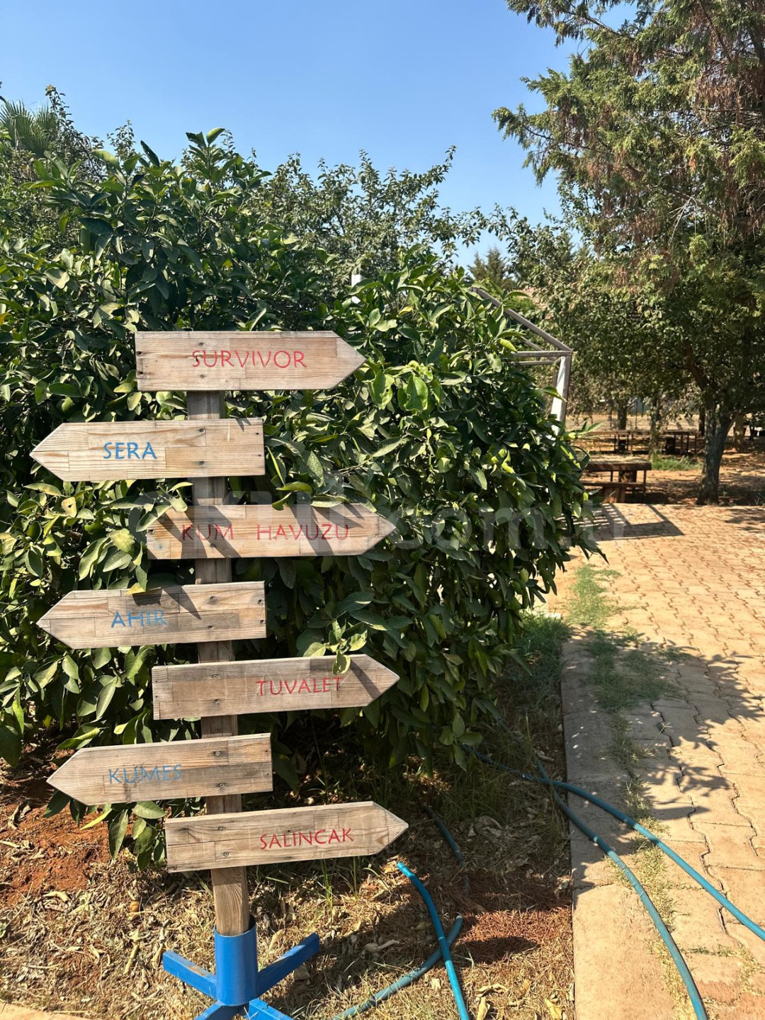 Özel Bilgin Okulları Anaokulu - 4