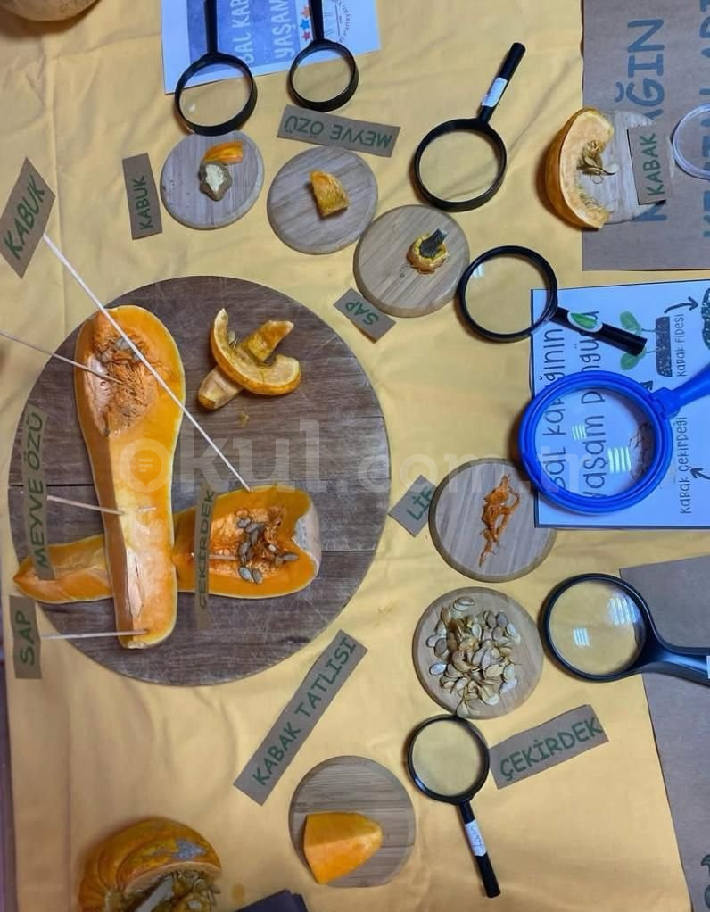 Özel Parlayan Yıldız Anaokulu - 13