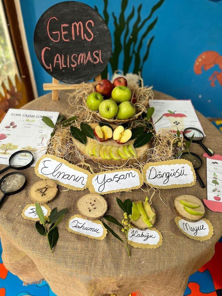 Özel Parlayan Yıldız Anaokulu - 18