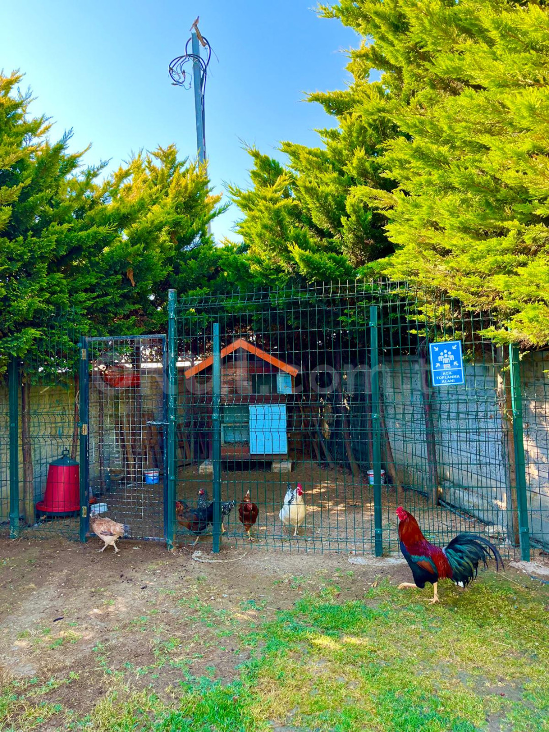 Özel Pera international Marina Anaokulu - 7