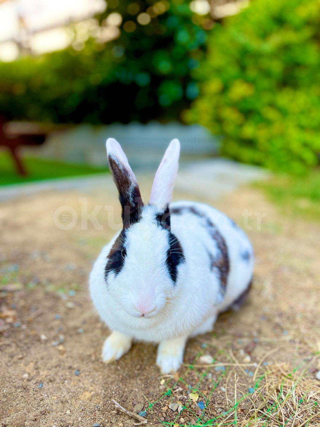 Özel Pera international Marina Anaokulu - 37