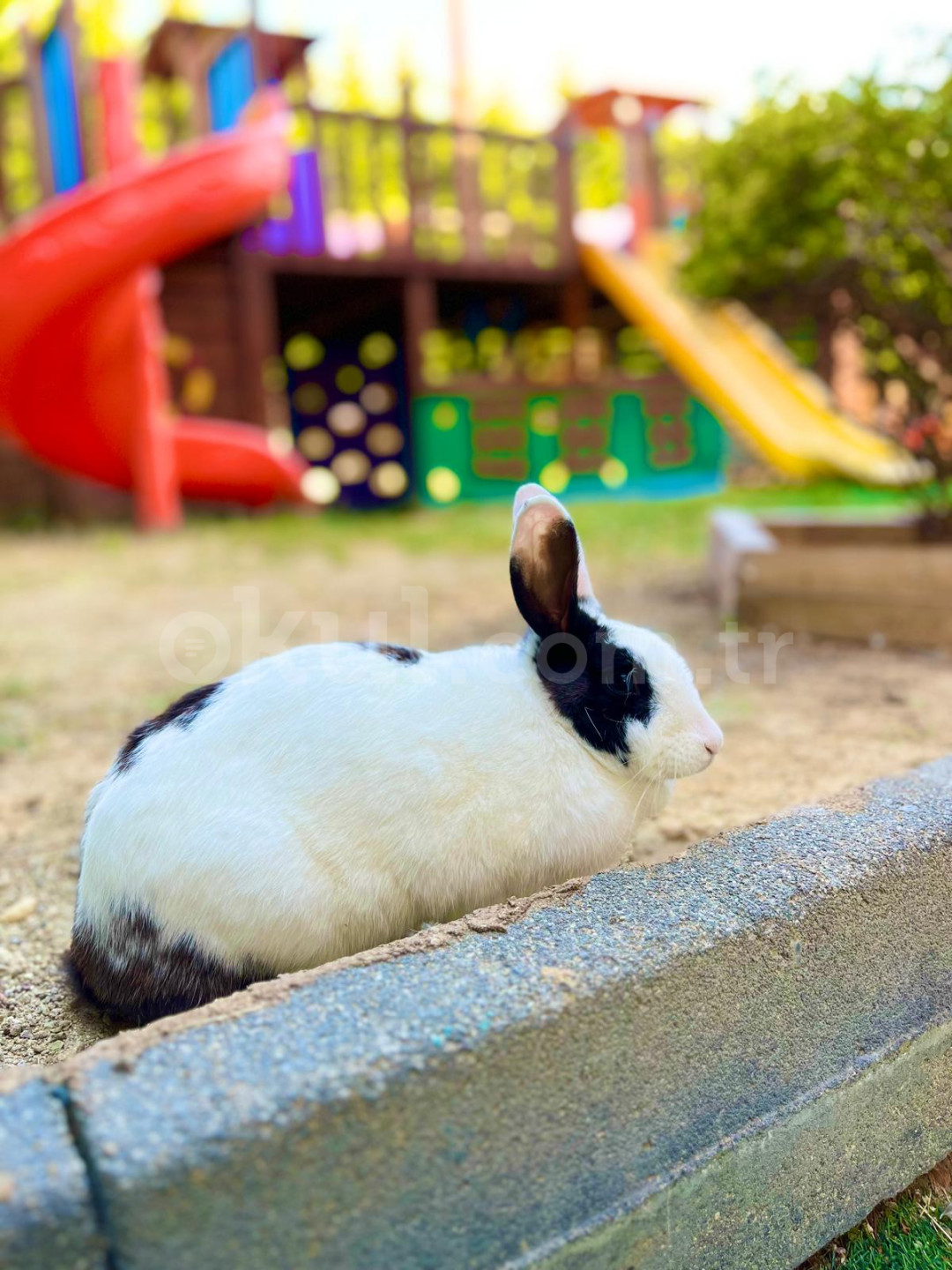 Özel Pera international Marina Anaokulu - 38