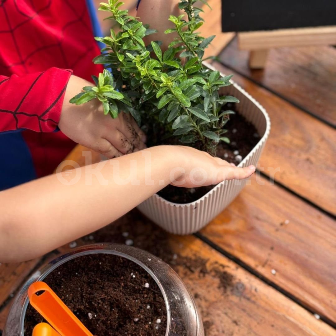 Özel Pendik Gülücük Anaokulu - 3