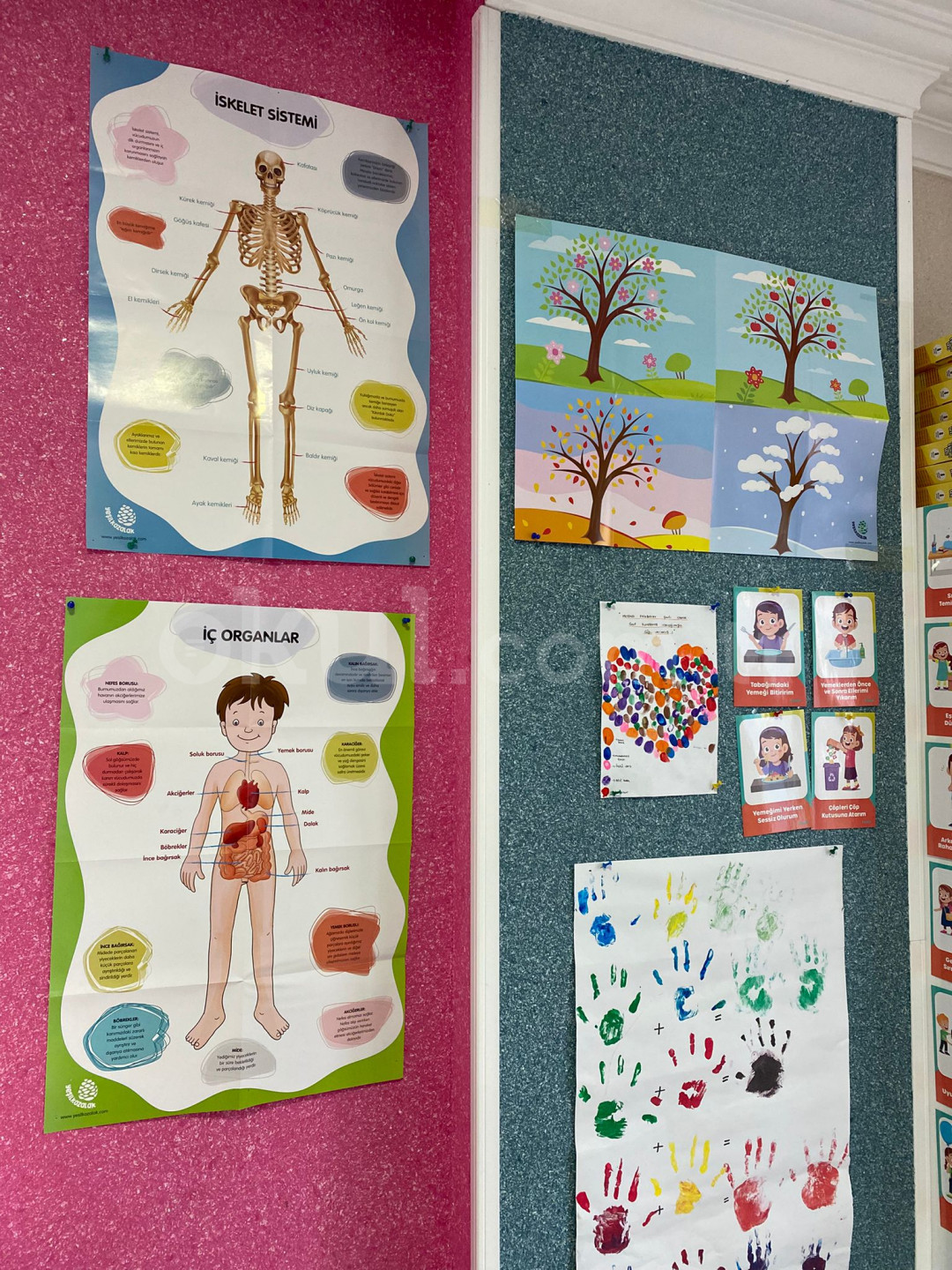 Özel Kurtköy Lale Bahçesi Anaokulu - 8