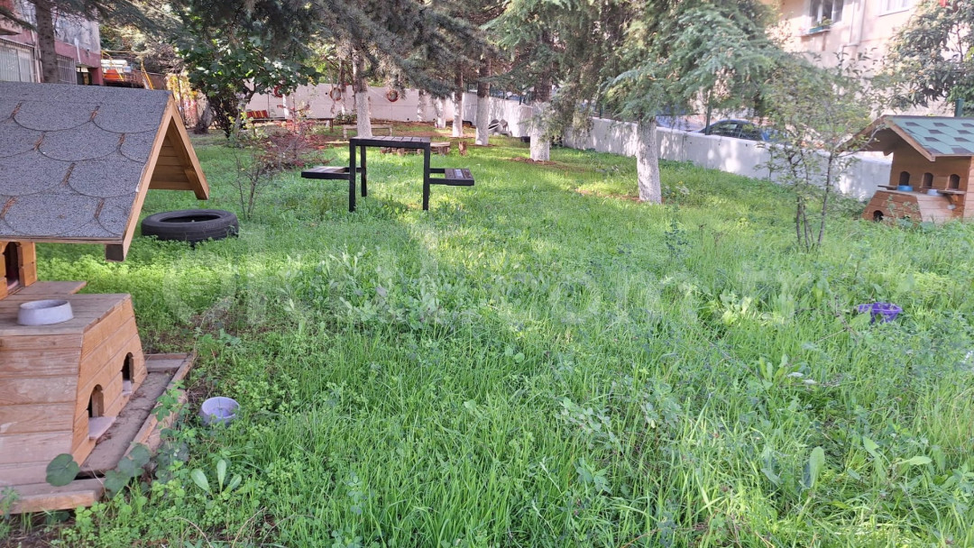 Özel Sude Gündüz Bakımevi - 6