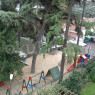 Özel Sarıyer Istanbul International Community School Anaokulu