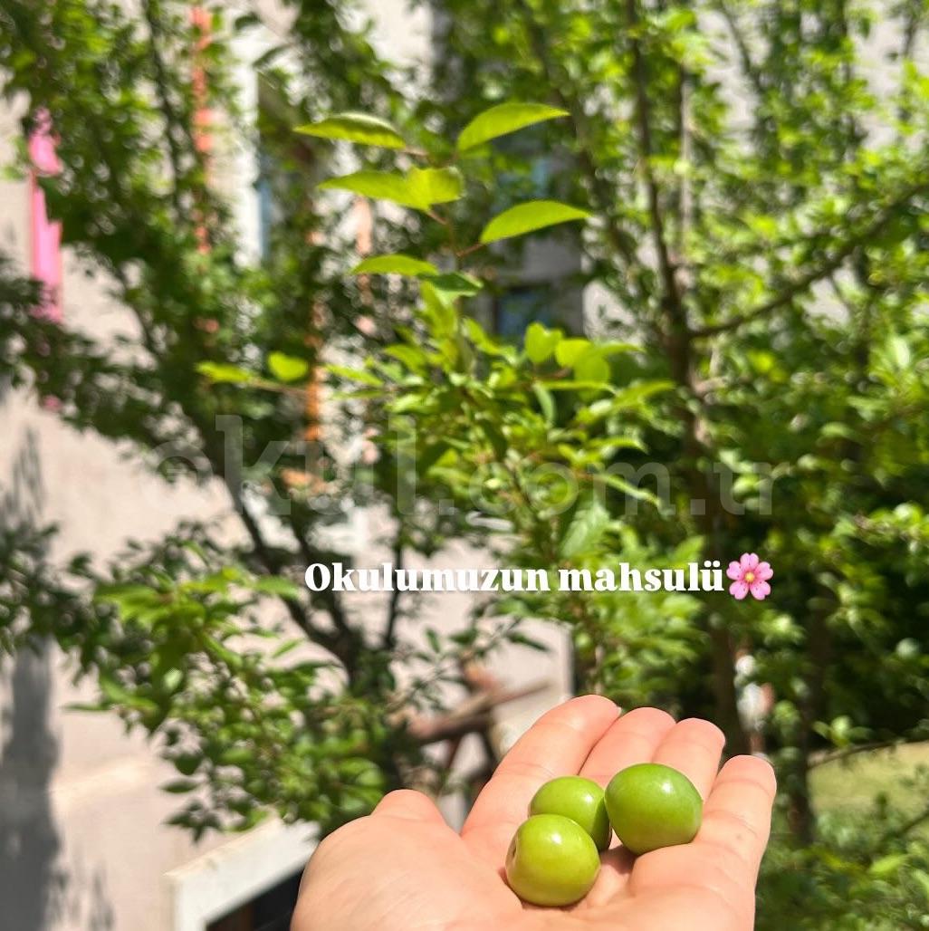 Özel Sancaktepe Dünyam Anaokulu - 35