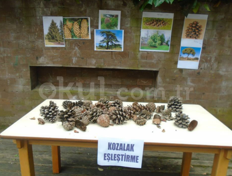 Özel Atölye Çocuk Evi Anaokulu - 5