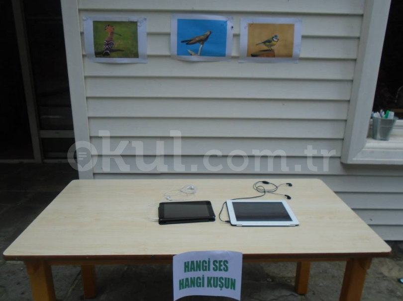 Özel Atölye Çocuk Evi Anaokulu - 7