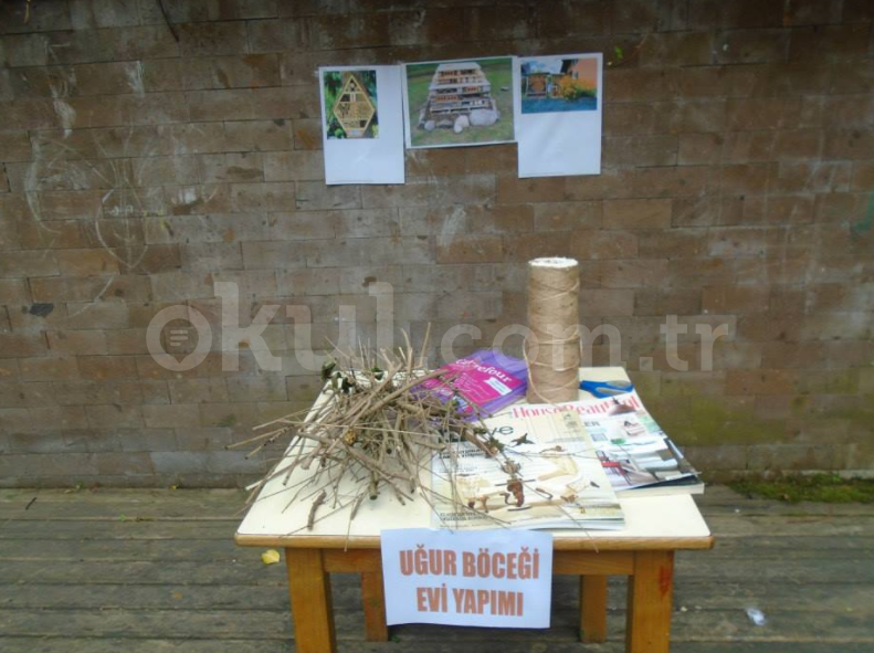 Özel Atölye Çocuk Evi Anaokulu - 6
