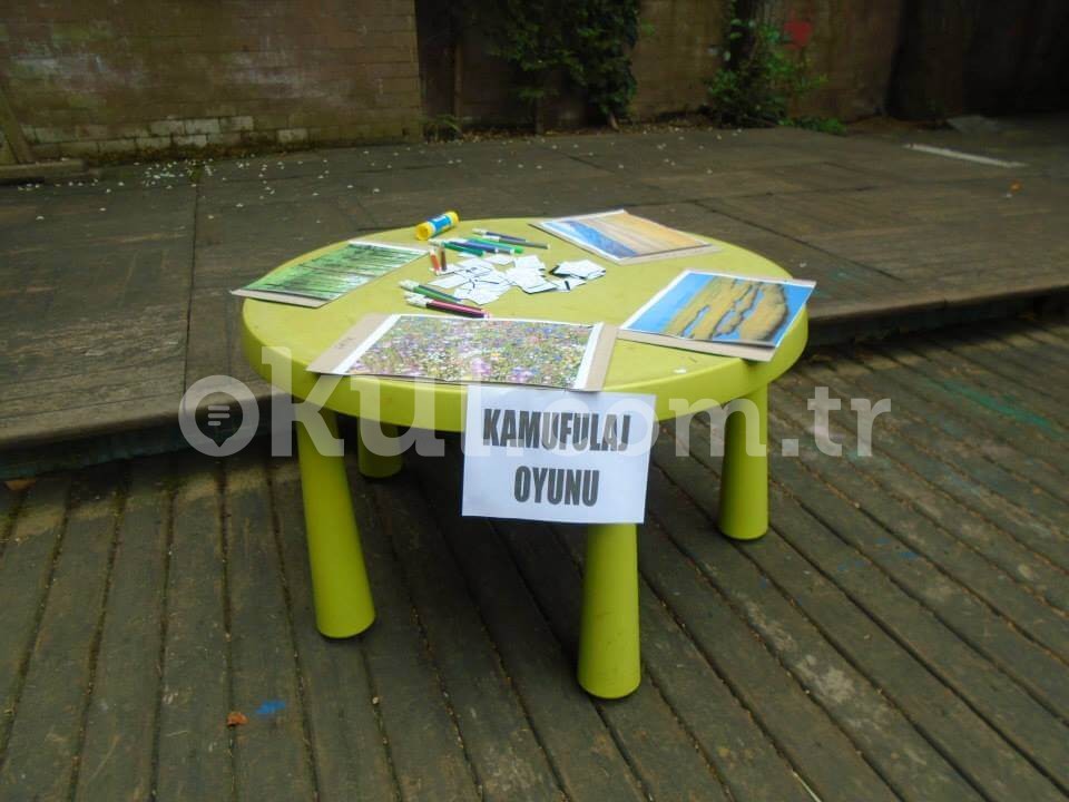 Özel Atölye Çocuk Evi Anaokulu - 4