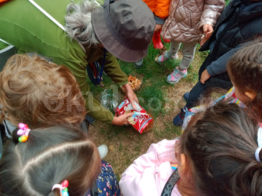 Özel Ayşe Ozan Anaokulu - 15