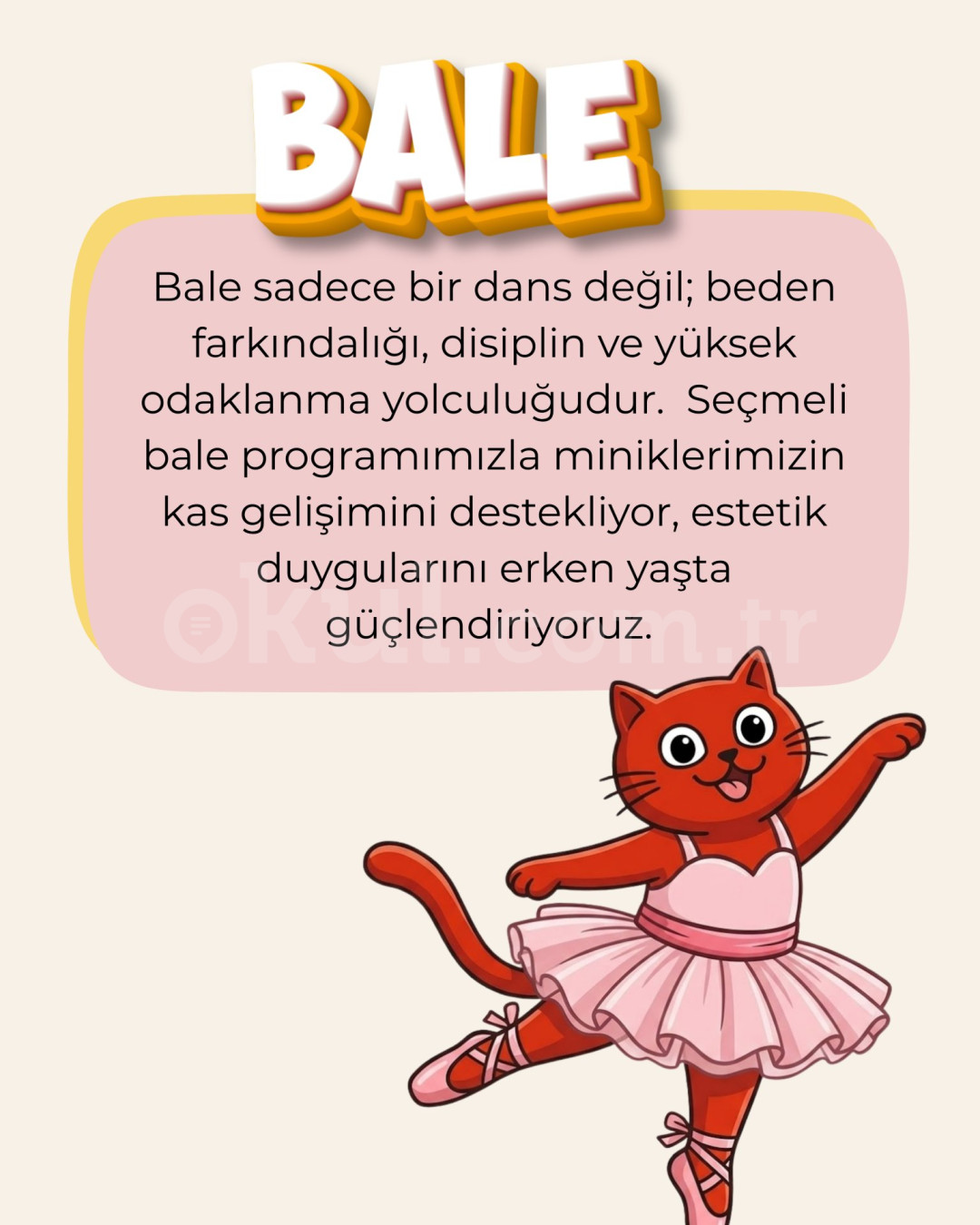 Özel Ayşe Ozan Anaokulu - 25