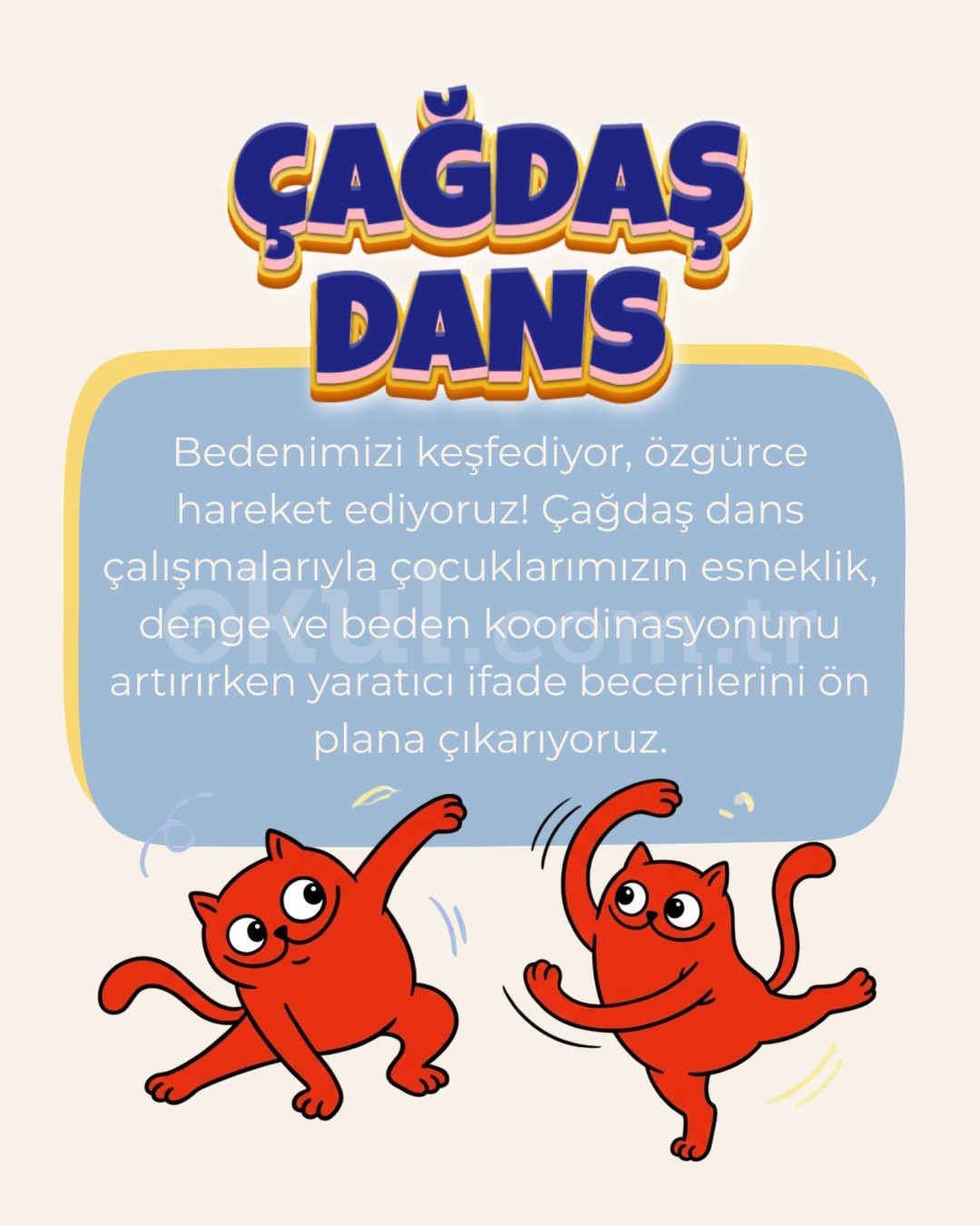 Özel Ayşe Ozan Anaokulu - 19