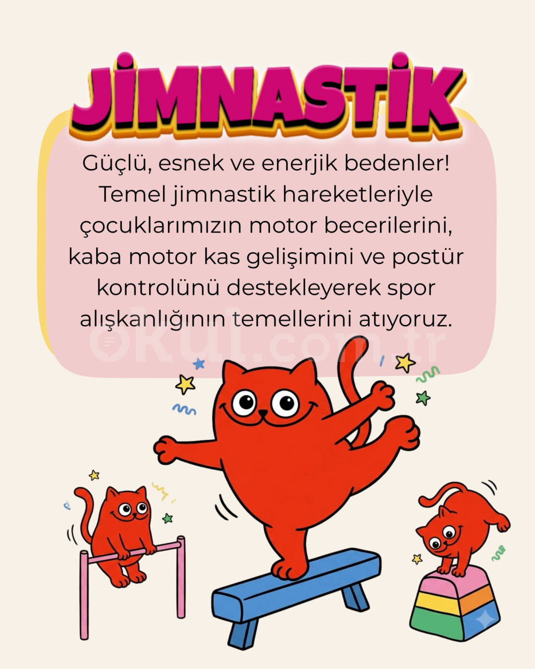 Özel Ayşe Ozan Anaokulu - 20