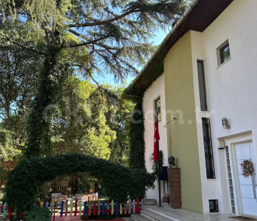 Genel Bakış