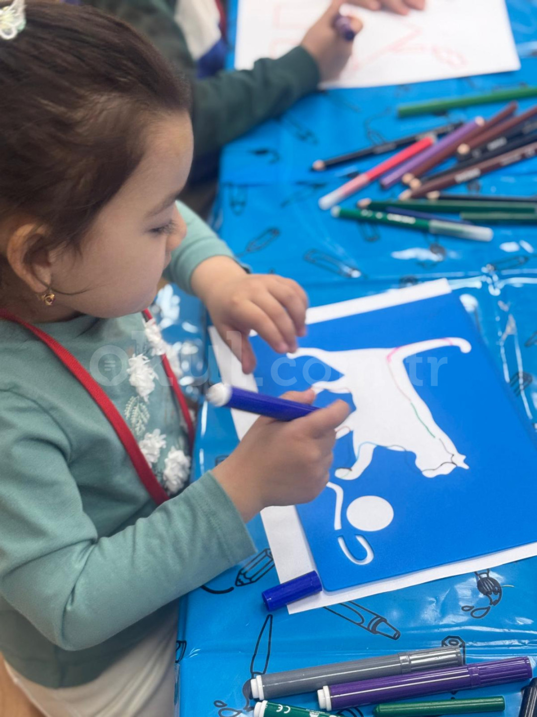 Özel Güzelbahçe Düşünür Koleji Anaokulu - 17
