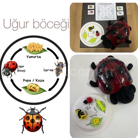 Özel Şirinler Köyü Anaokulu - 14