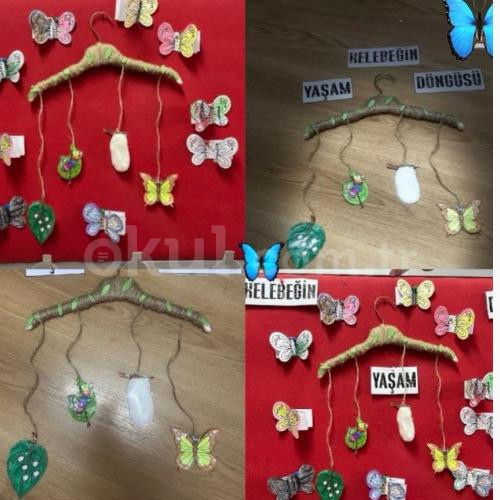 Özel Şirinler Köyü Anaokulu - 16