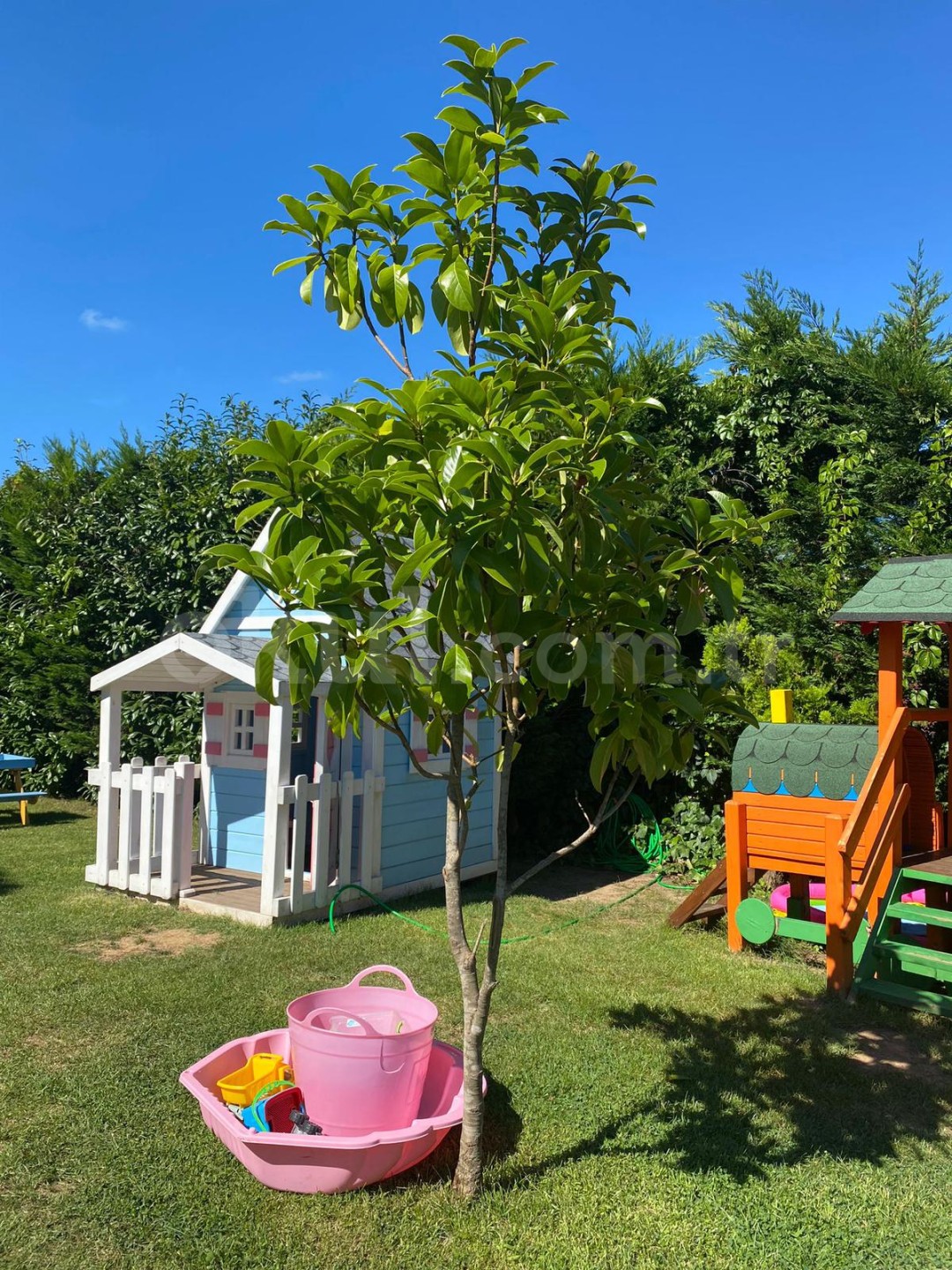 Özel Zekeriyaköy Kemer Kids Garden Anaokulu - 32