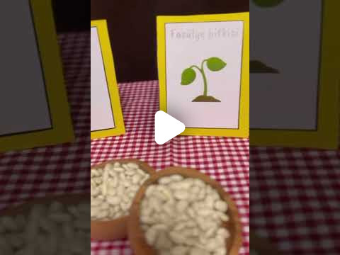 Özel Eyüp Minik Eller Anaokulu - 48