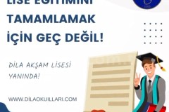 Özel Dila Okulları Akşam Lisesi - 13