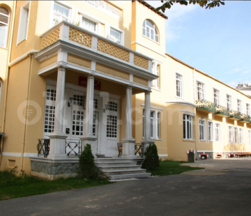 Genel Bakış