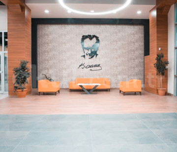 Genel Bakış