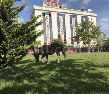 Özel Ümraniye BİKEV Okulları Anaokulu