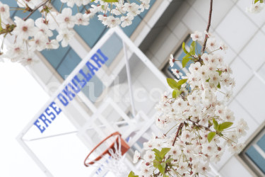 Özel Ümraniye Erse Okulları İlkokulu - 24