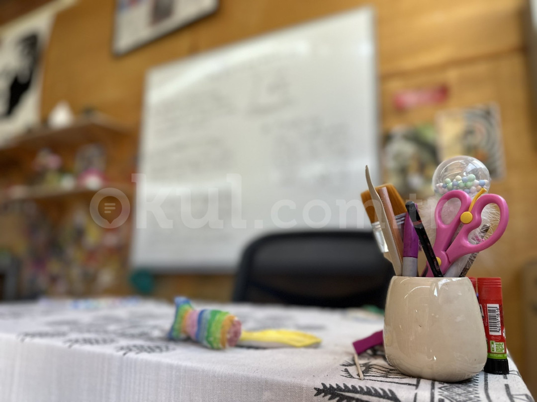 Özel Oğuzhan Özkaya Güzelbahçe Anadolu Lisesi - 19