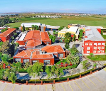 Genel Bakış