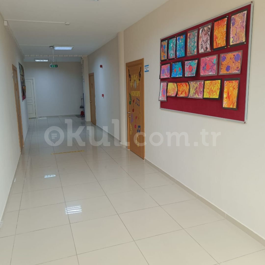 Özel Pendik Elma Koleji Anaokulu - 24
