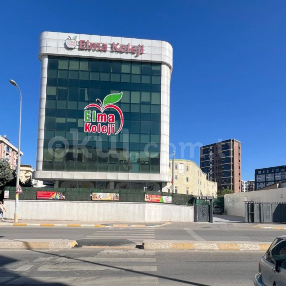 Özel Pendik Elma Koleji İlkokulu - 3